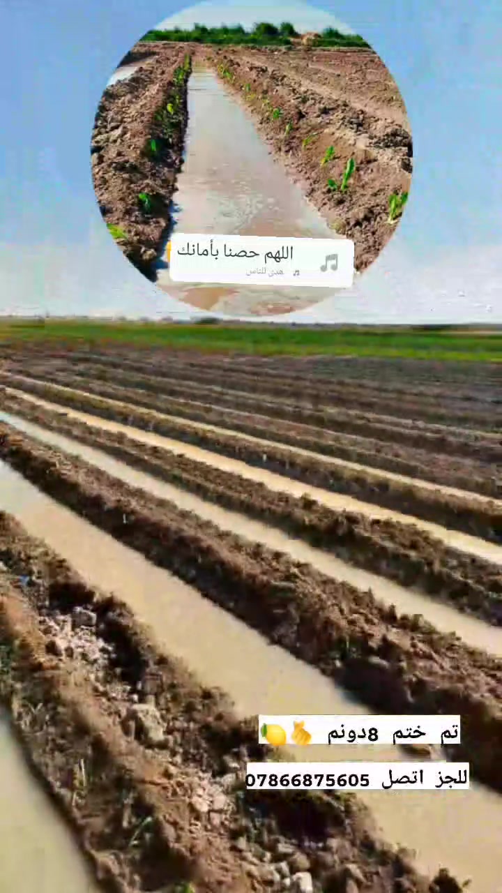 يوجد كادر عمال شتال خس دونم ب70 ❤️للحجز والاستفسار اتصال ***********
