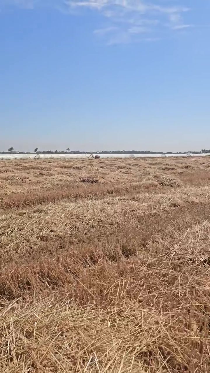 هيومك سلوفاكي • مادة عضوية الاريان • زيادة الإنتاج