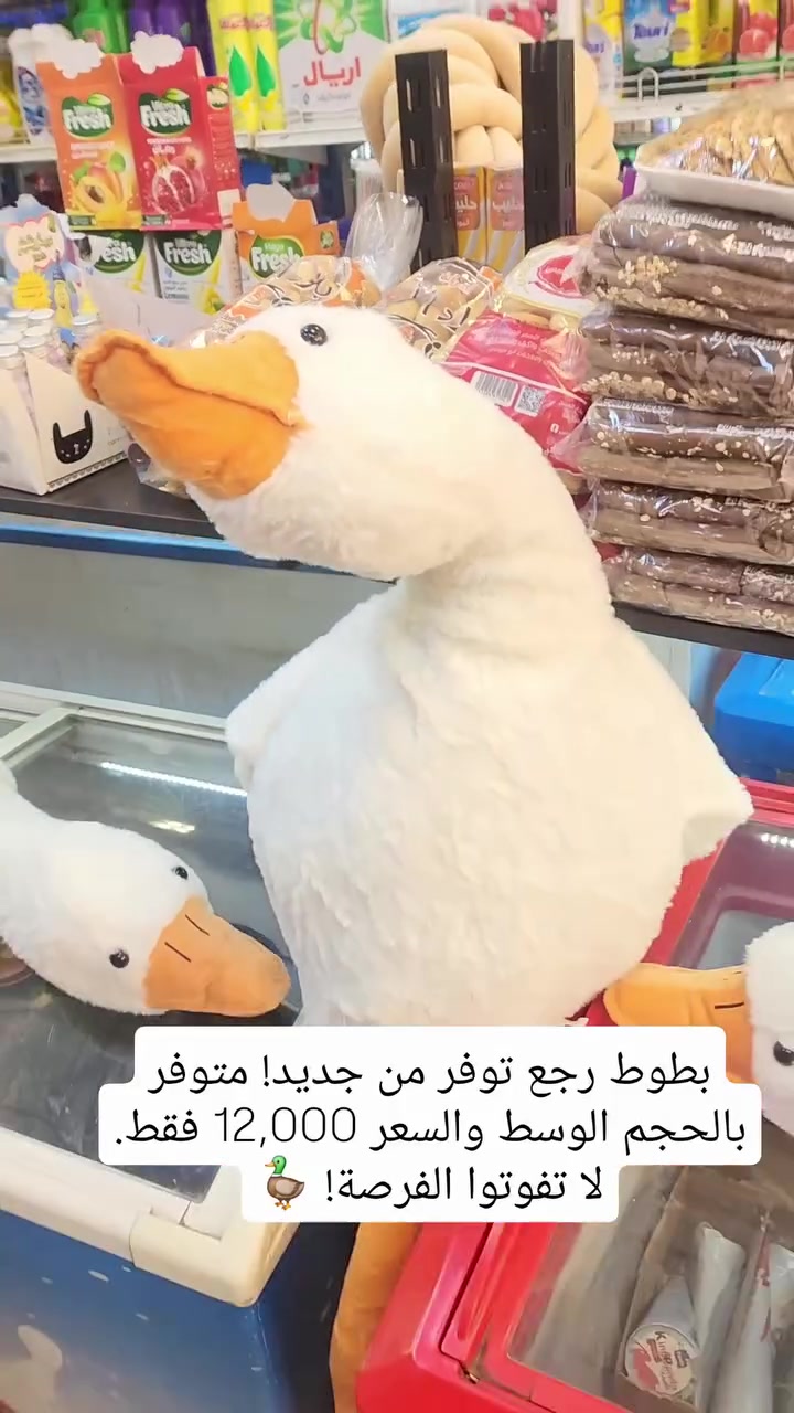بطوط رجع توفر من جديد! متوفر بالحجم الوسط والسعر 12,000 فقط. لا تفوتوا الفرصة! 🦆✨🛍️
العنوان حلة مقابل دائرة صحة بابل 
للستفسار اتصال على أرقام ***********او*********** 
#بطوط #توفير #ألعاب #تسوق#بابل
