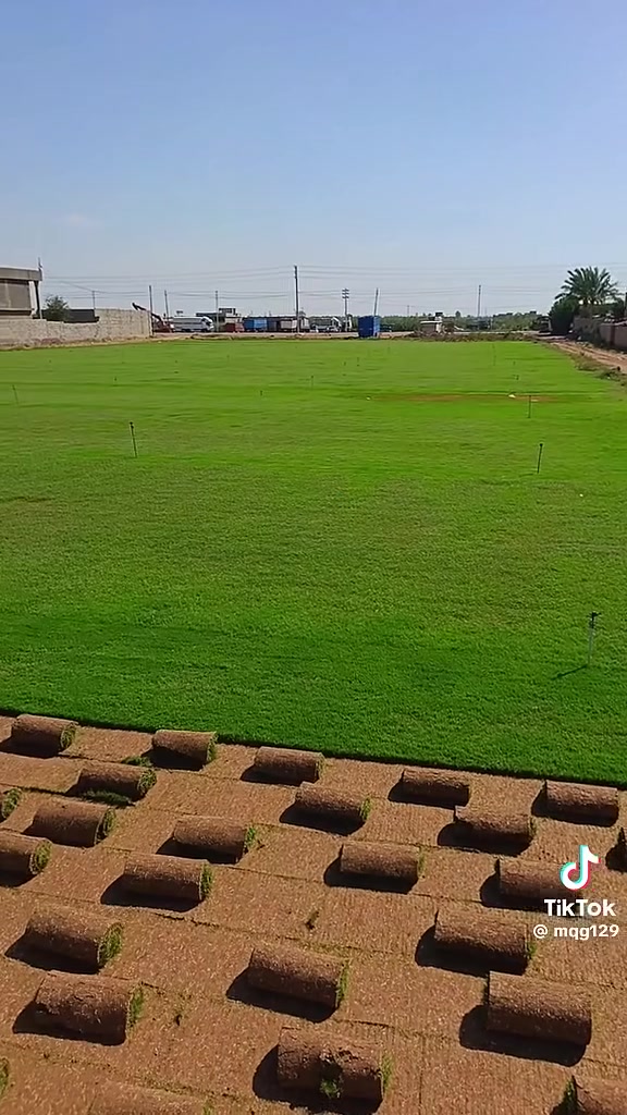تعبت من شكل الحديقة وتريد خضار طبيعي يفتح النفس ويريح العين؟ نوفر لك أجود أنواع الثيل الطبيعي الفرش الطازج، كثافة عالية وخضار دائم يتحمل أجوائنا وحرارة الصيف، مع خدمة التوريد والتركيب وترتيب التربة بالكامل حتى تسلم حديقتك جاهزة ومعدلة على الداير. اتصل بنا أو راسلنا على الواتساب على الرقم ***********] وخلي الباقي علينا، نصلك وين ما تكون وبأفضل الأسعار.
