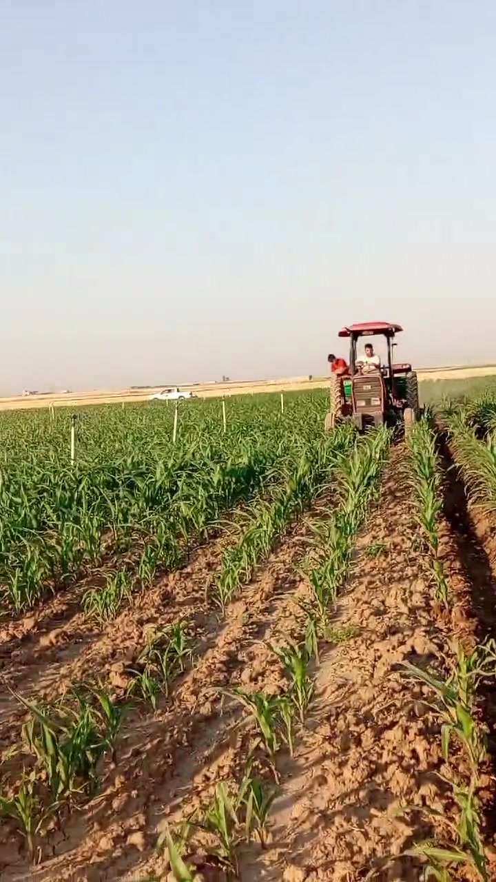 حازقه ما ضره للايجار للكروه‏‪***********‬‏
