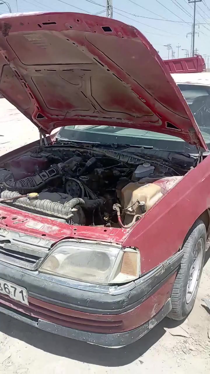 اوميكا تفصيخ حلة طريق النجف مجاور شركة نيسان مقابل بكر بن علي ***********
