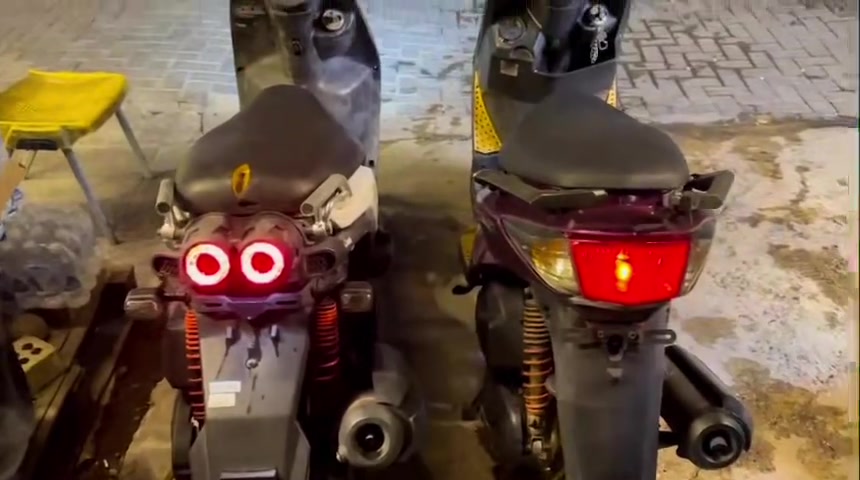 سكنس فحل • كابريتر • مكفولة
