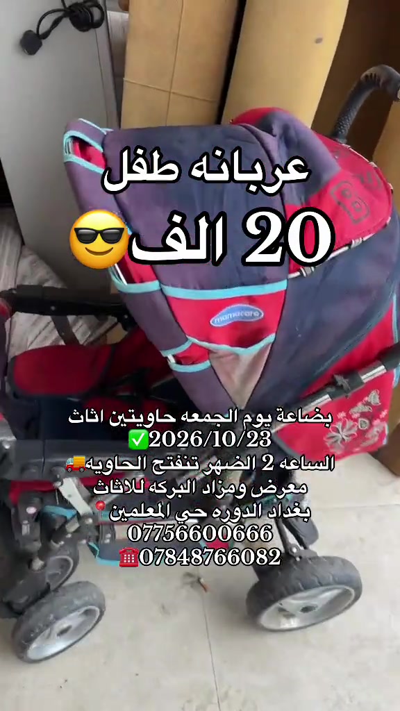 عربانه طفل • ٢٣/١٠/٢٠٢٦ • حي المعلمين