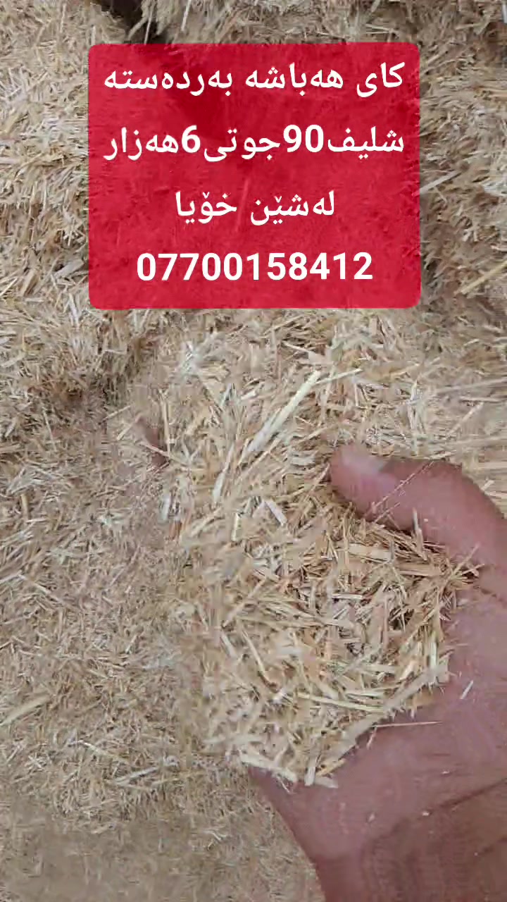 کای هەباشە • کەلار