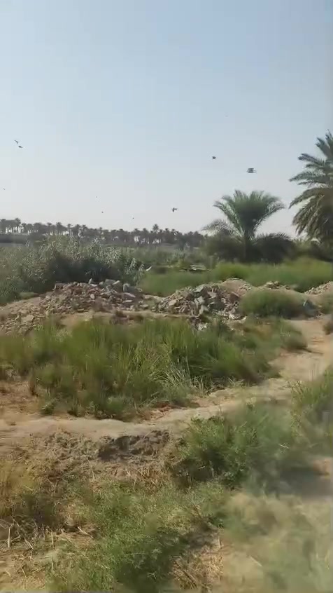نص دونم طابو زراعي سند 25 السعر 65 مليون وبي مجال قرب جامع السجاد منطقة القزوينيه قرب كليه العلوم والزراعه ماء كهرباء كافت الخدمات لاستفسار على الرقم وبي واتساب ***********
