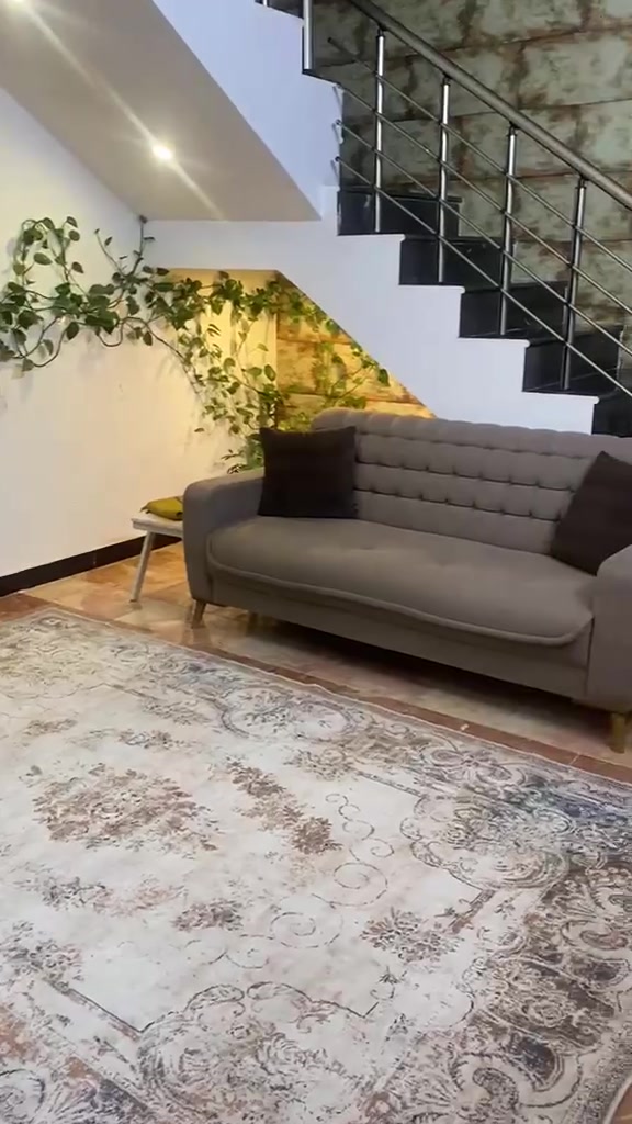 حريه • جوزي • رصاصي