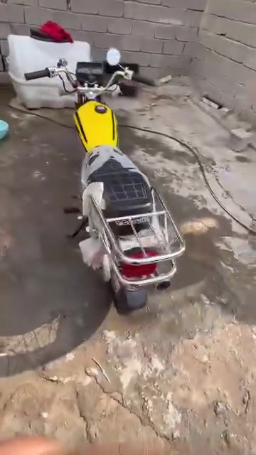 سكنر • ٢٠٢٦ • كفالة