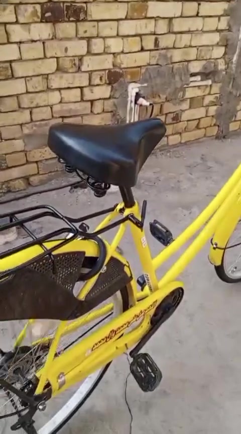 باسكل • عجلات ٢٦ • موديل ٢١