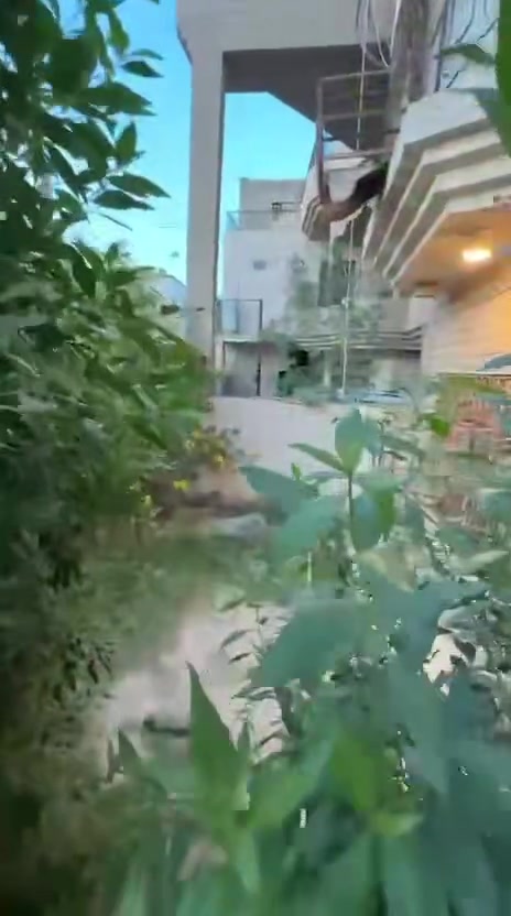 دار سكني للبيع في منطقة حي الجهاد الشارع التجاري مربع الگراج المساحه 200 متر واجهة 10 م
للاستفسار الاتصال على الرقم 
***********
