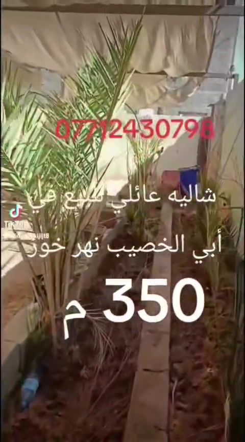 ٣٥٠م • طابو سهم • نهر خوز