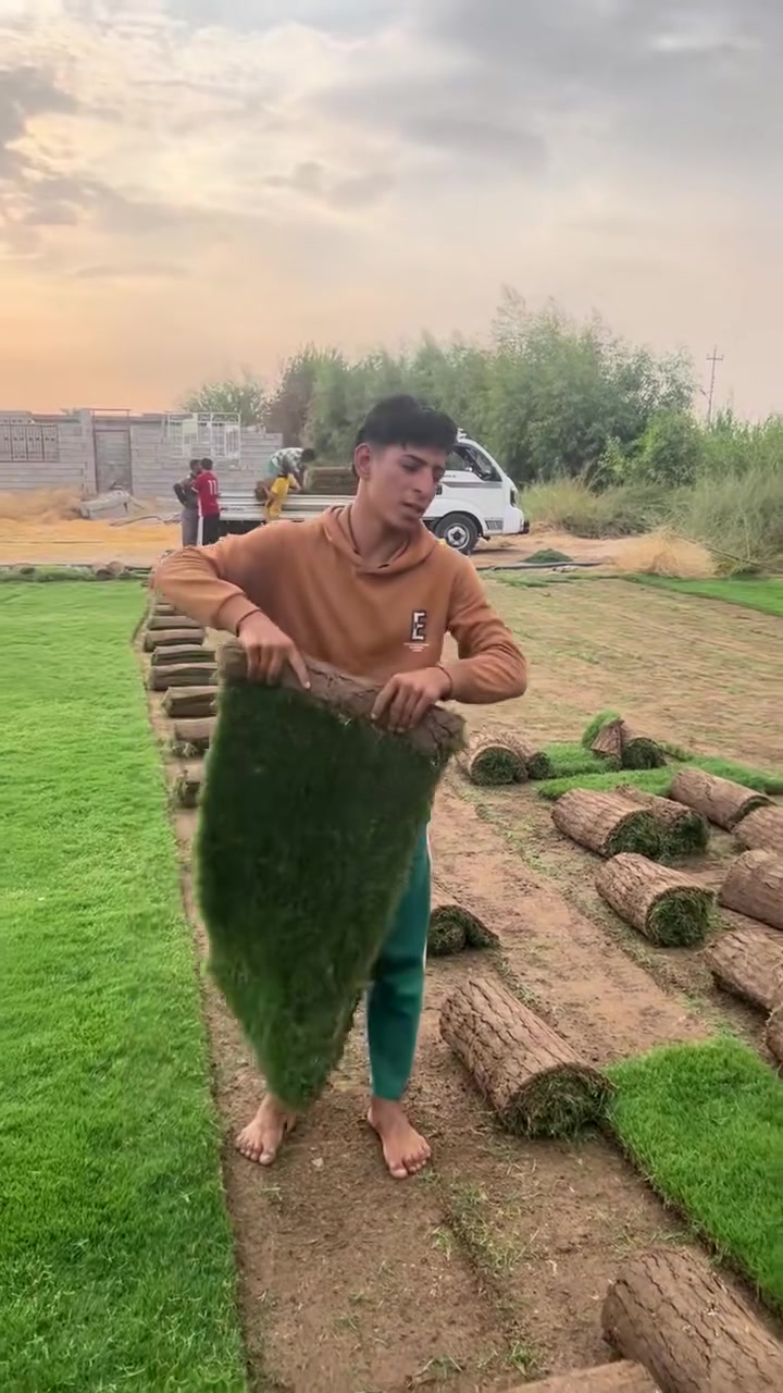 لا توجد تفاصيل
