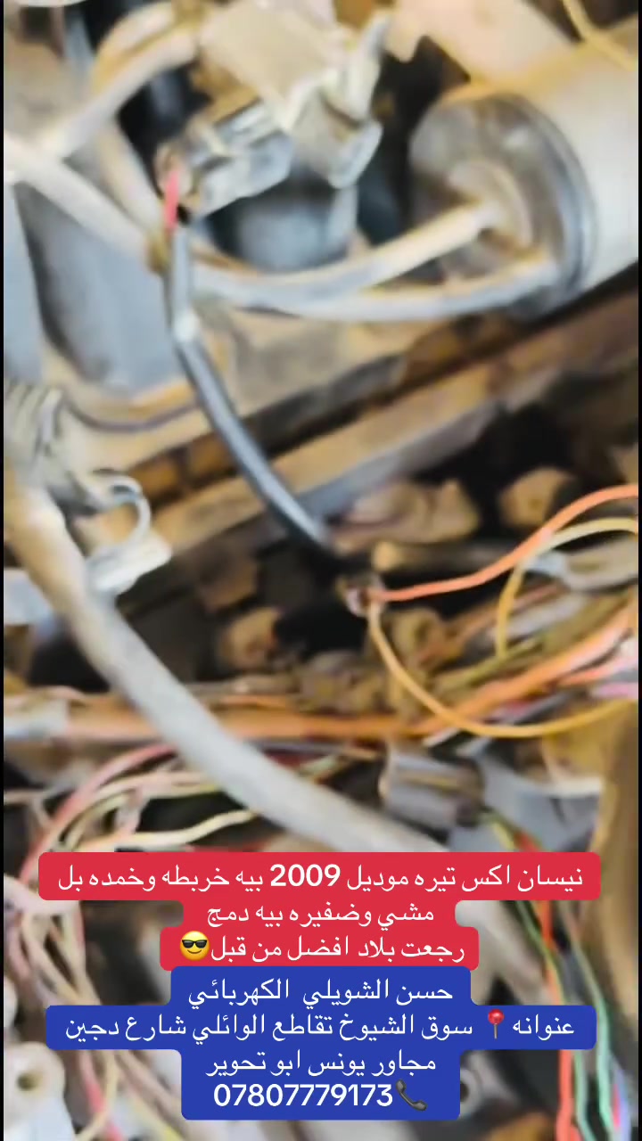 حسن الشويلي • الكهربائي • سوق الشيوخ