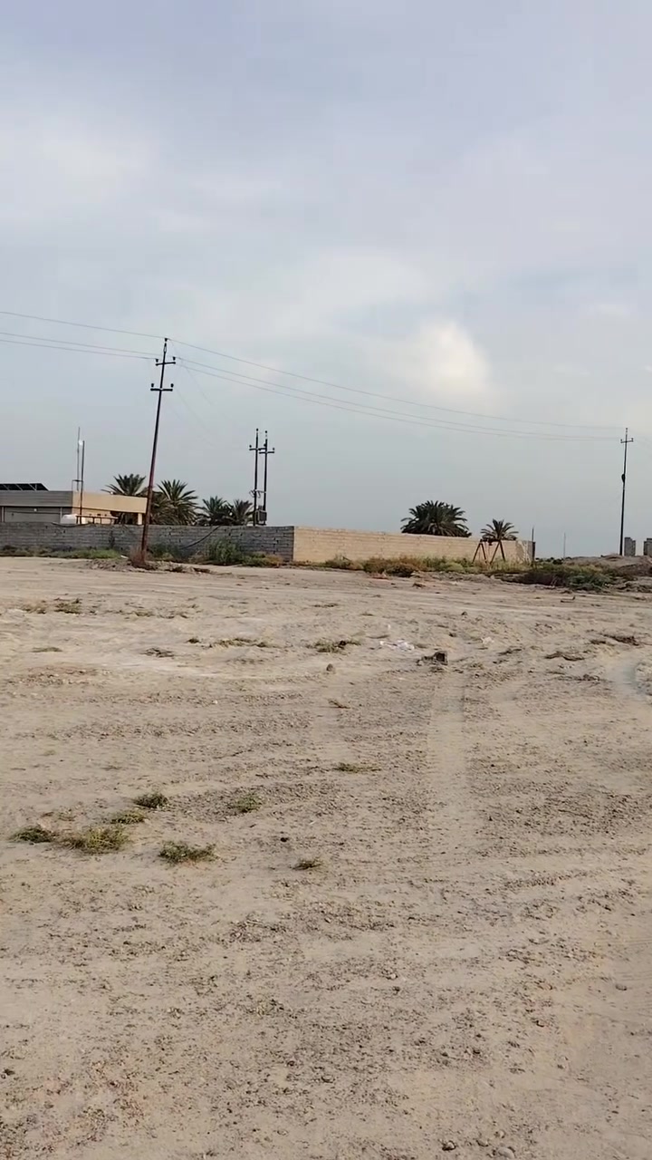 ١٠دوانم • طابو زراعي • الفلوجه ذراع دجله