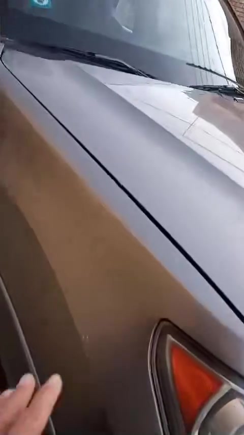 السلام عليكم ورحمه الله وبركاته
كيا موهافي 
موديل ٢٠٠٩ . 
رقم بغداد الدولي باسمي تحويل مباشر رقم جديد هزه جديده 
زراك لايت 
كشنات جلد كهربائيه 
7 راكب 
3 قطع تبريد ثلج + تدفئه 
جنطه شفط 
مري شفط..قلاب 
 كاميرا..حساس خلفي ....
تخم تاير جديد 
حداديه جديده  
مكينه وگير 
فتحه سقف كهربائيه 
حاكيه اتصال 
شاشه كبيره 
مثبت سرعه 
مكانه كوت مركز المدينة ***********
