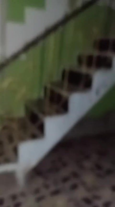 نص قطعه ايجار قطاع 31 ب 300 مكتب علي العقار ***********
