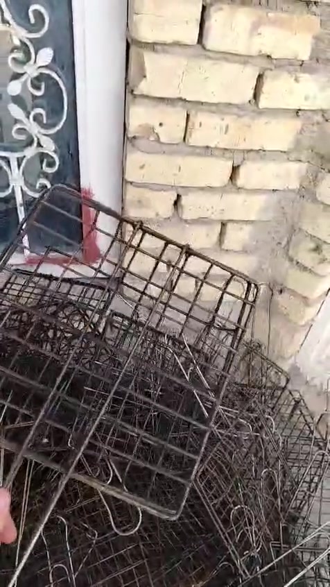 شوايه دجاج كامله عل اخير جيب وشد دجاج + سكافات
المكان بالكوت  *********** بي واتساب
