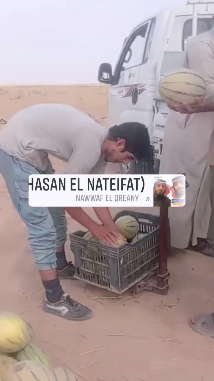 بطيخ • مال الجزيرة • شرط عسل