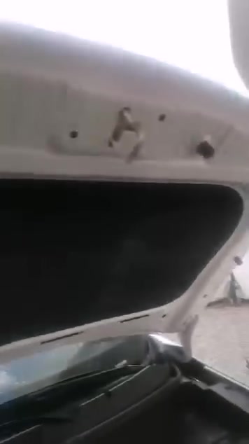 شنجان • ٢٠٢٤ • ٥١٠٠٠ كم