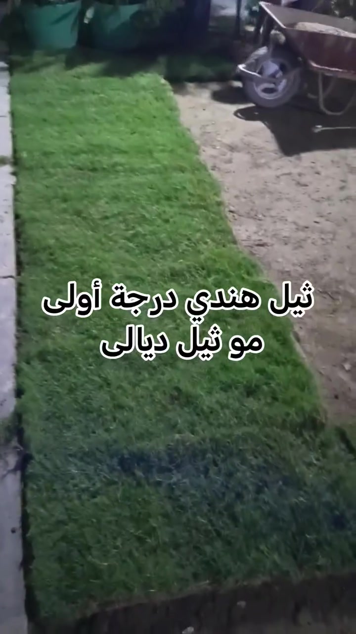 متوفر ثيل هندي درجة أولى
مو ثيل ديالى
ثيل مال الحله 

العنوان. الديوانية قضاء الدغارة داخل الحي العسكري
للحجز والاستفسار الاتصال على الرقم التالي
*********** انور الشباني
*********** إيهاب الشباني
