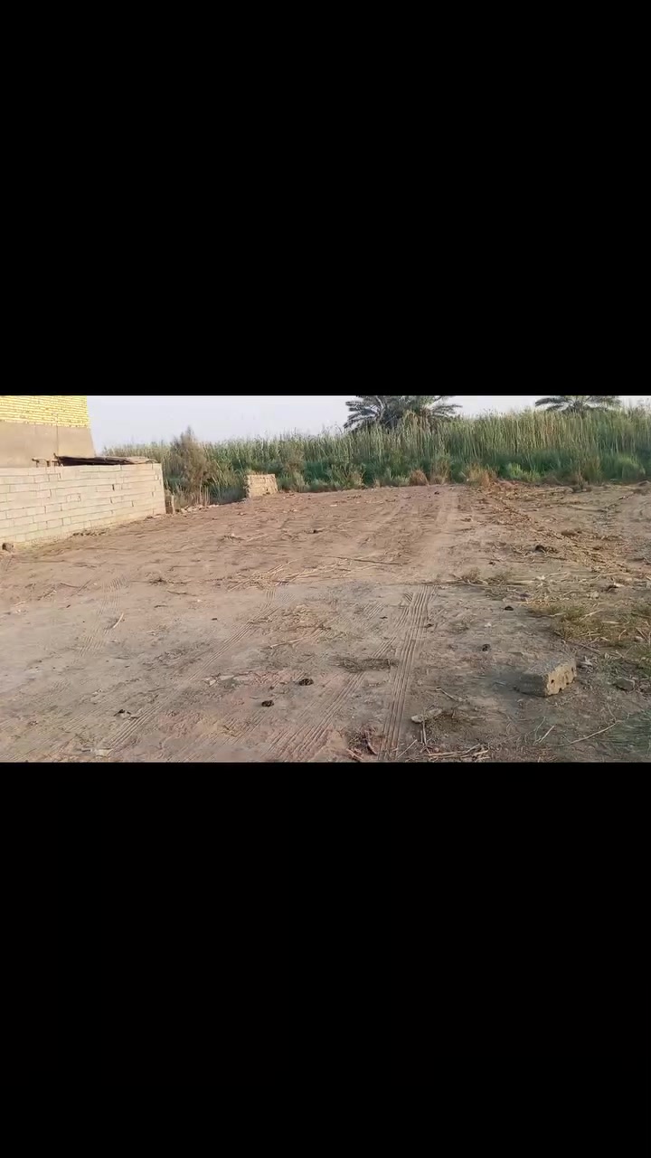 يالله
✅قطعه زراعي  للبيع 
✅المساحة 345متر
✅وجها ع شارع مباشر 
✅طريق المشايه  مقابيل مجمع بركات الامام الحسين ع
✅او مقابيل محلات ابو رياض الحداد 
✅الاتصال على الرقم 
✅***********☎️
