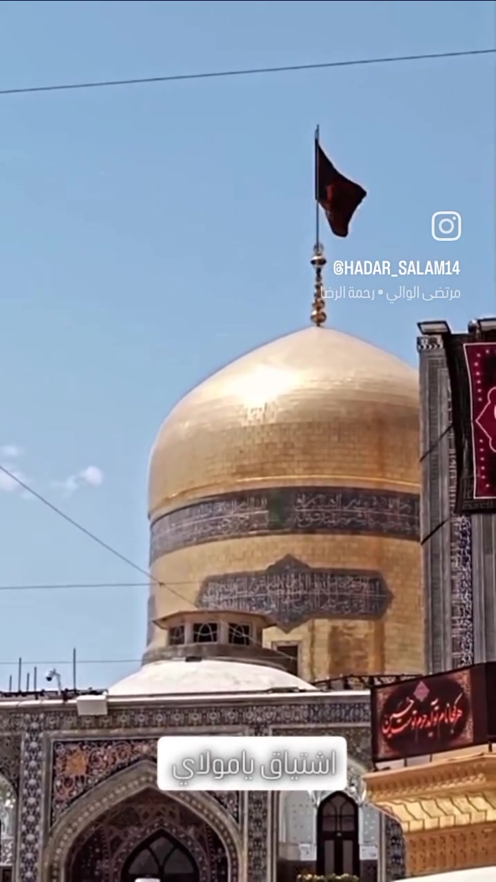 برنامج إيران • باص VIP • كل ثلاثاء وجمعة