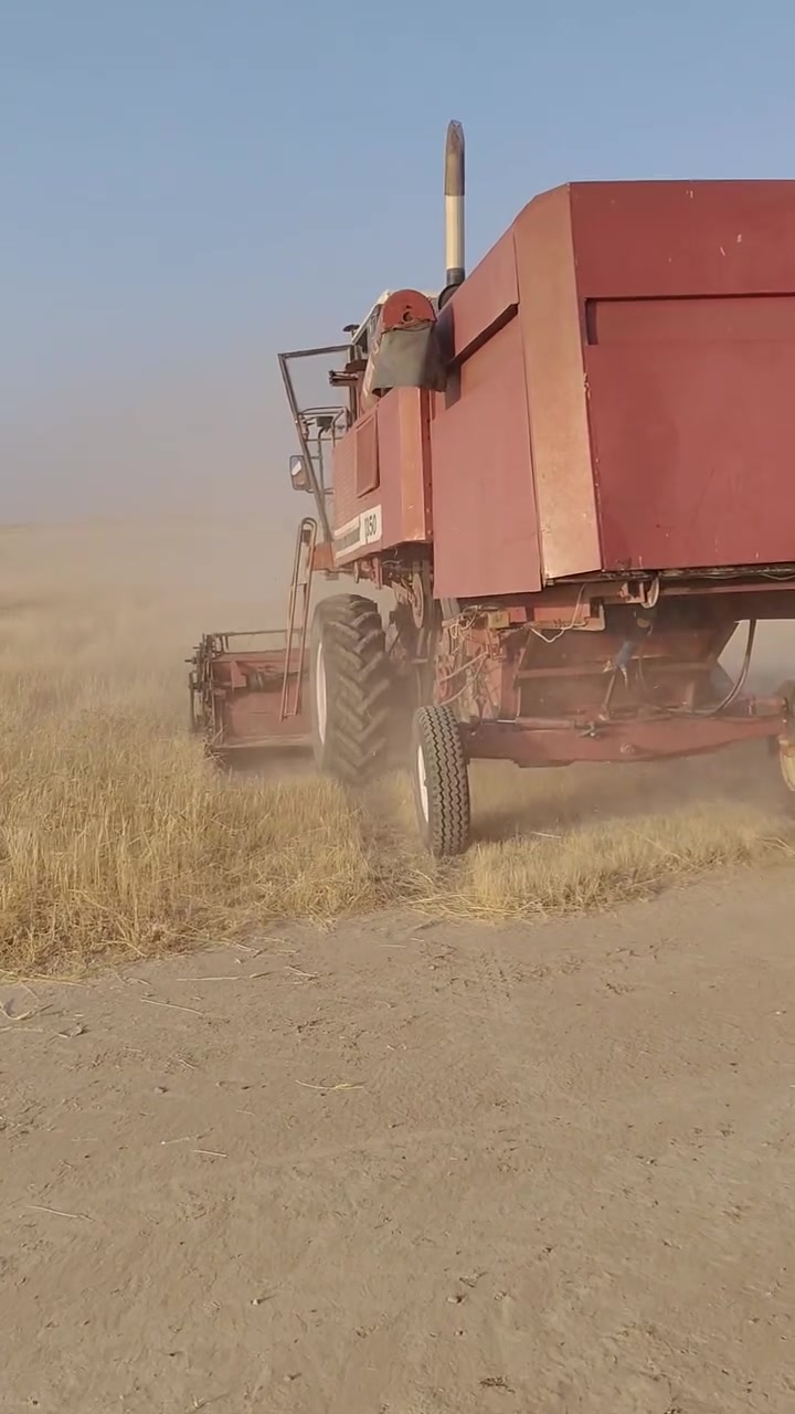 سلام وعليكم حاصوده نضيف للبيع ويرهم مراوس بتركتراستفسار ***********
