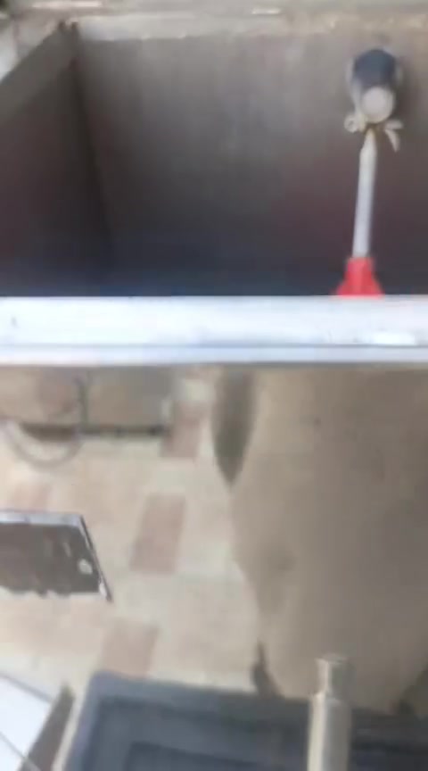 برادات • شغل ونضافة • بصرة زبير