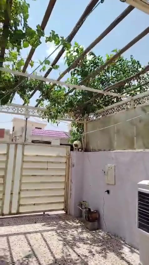 اربيل شقلاوه • بيت • ٢٠٠م