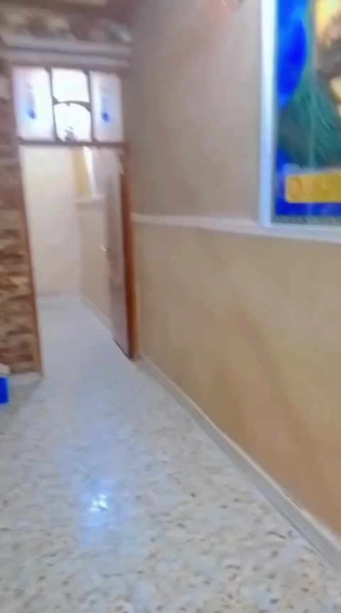 بيت 50متر بناء جديد وحديث بزراعي بسعر مناسب مكانه الاربع شوارع ورا مدرسه قتيبه او مجاور مركز الشباب الزعفرانية رقمي بي وتساب ***********