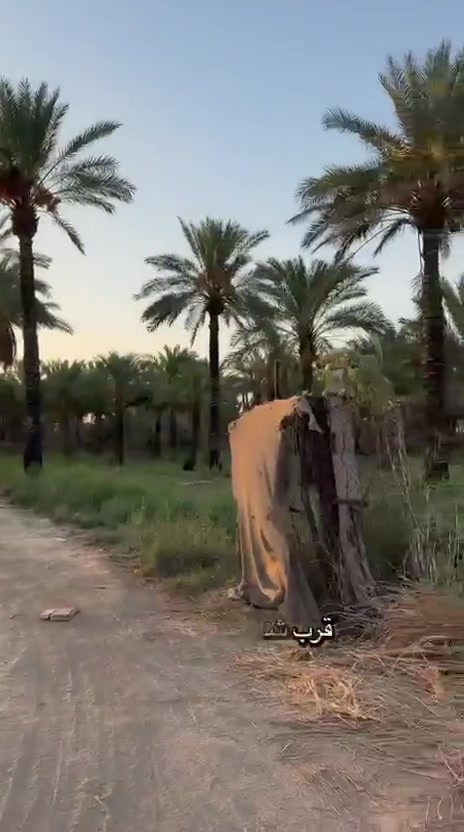 🏡 دونم للبيع – فرصة استثمارية مميزة 🌿
📍الموقع: المدائن منطقة الجعاره
📍 الوجه: 30 م
📏 النزال: 75 م
💰 فرصة استثمارية ممتازة ومناسبة للبناء أو الاستثمار.

✨ موقع ومساحة مميزان
✨ فرصة مناسبة للراغبين بالاستثمار العقاري
📞 للاستفسار والتواصل: ***********

لا تفوّت الفرصة،
