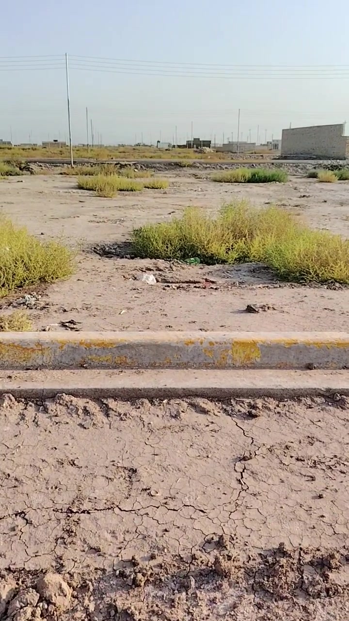 زراعي سند ٢٥
***********
