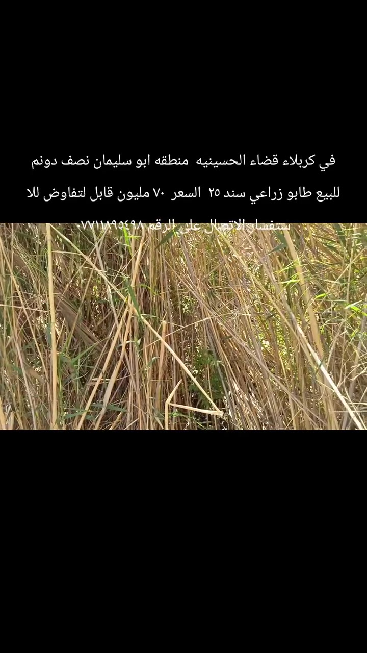 كربلاء • الحسينية • ١٢٥٠م