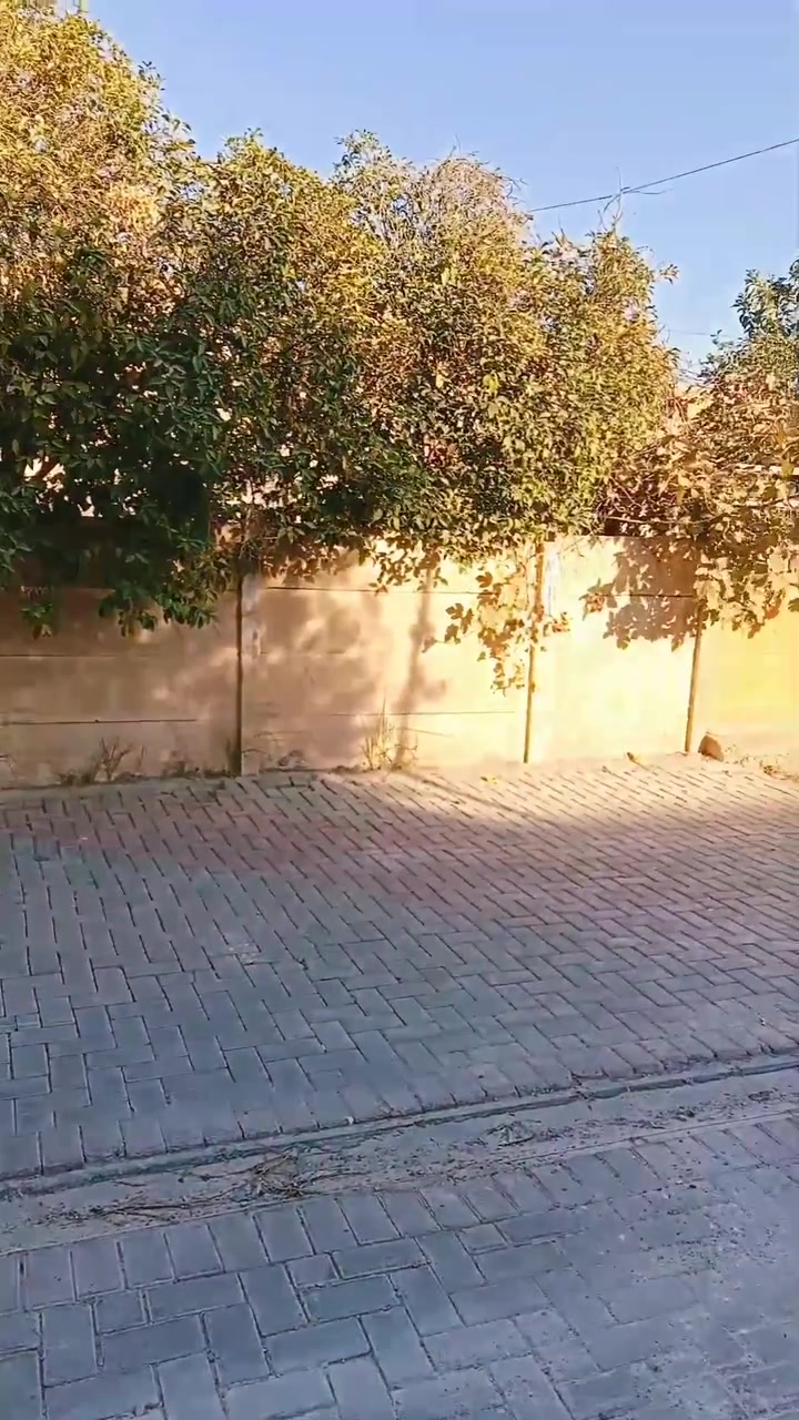 دار للبيع موقع مميز جدا قريب من الشارع العام المساحة 300م العنوان دوميز قرب مول اقصو للأستفسار***********
*********** أو مراجعة مكتب أرض القمة للعقار
