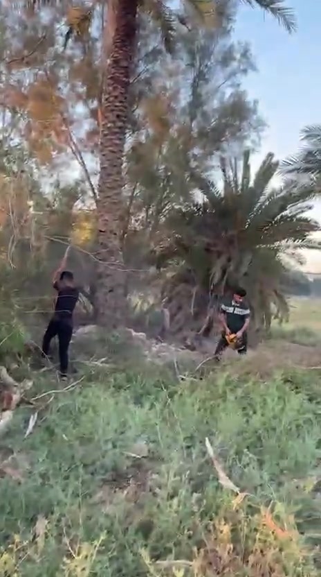 سلام عليكم نشتري انواع الخشب راقم الهاتف بي واتساب ***********///***********
