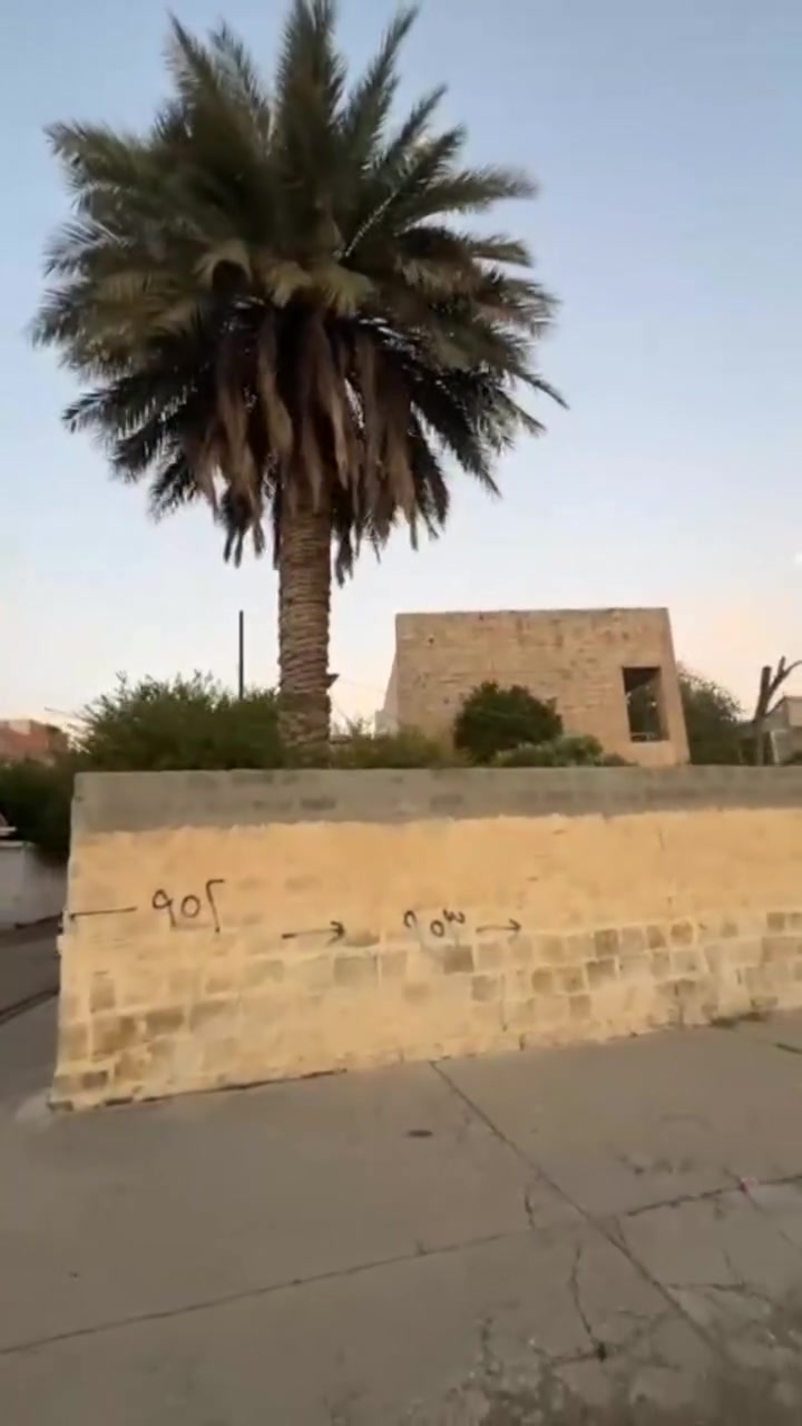 المنصور الفورمنيه • ركن • ٢٣٠م