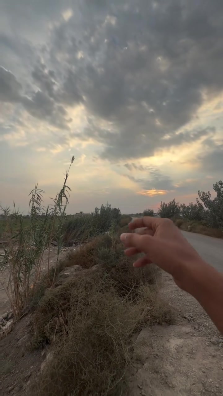 البوعيثه • مزرعة • بستان