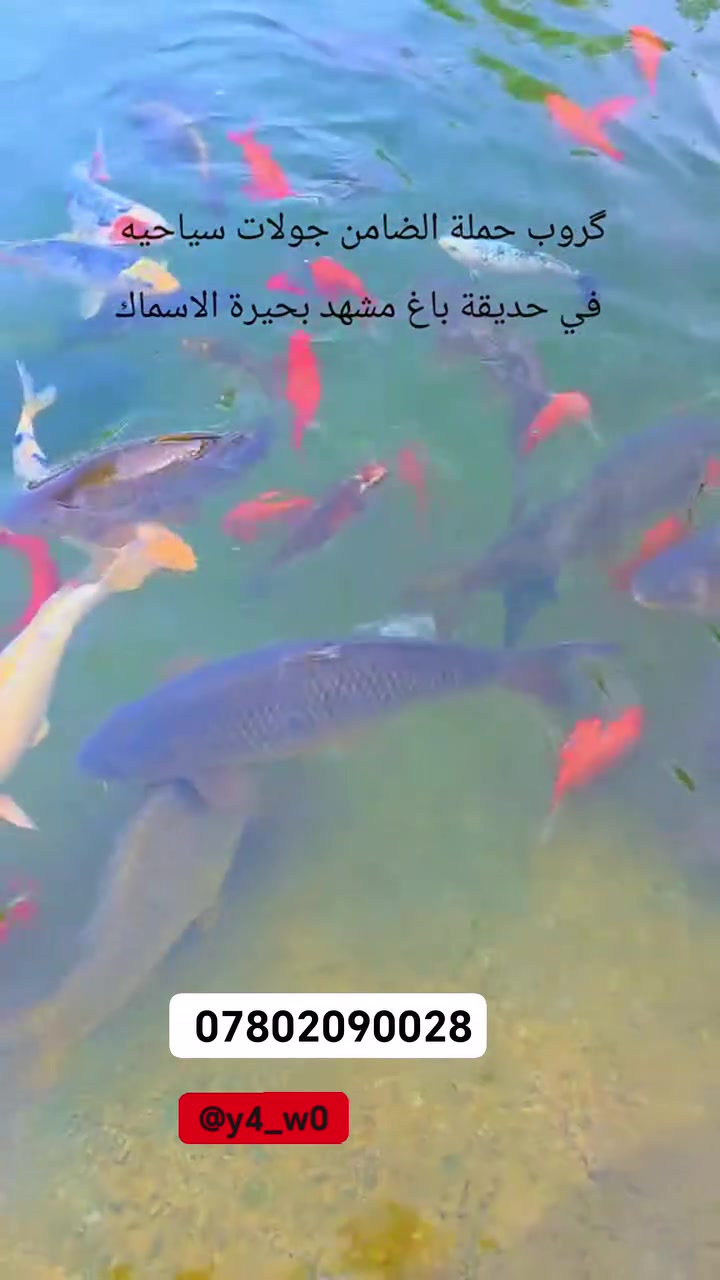 الجولات الترفيهيه وي مسافرينا الكرام
اهلا وسهلا بيكم جميعاً
خادمكم المتعهد محمد أبو ذوالفقار للسفر والسياحة داخل وخارج العراق للحجز والاستفسار الاتصال على الرقم *********** واتساب
