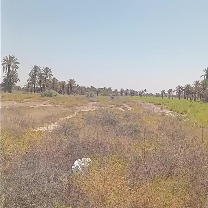 ***********

سعر الدونم ١٣٠ وبي مجال

