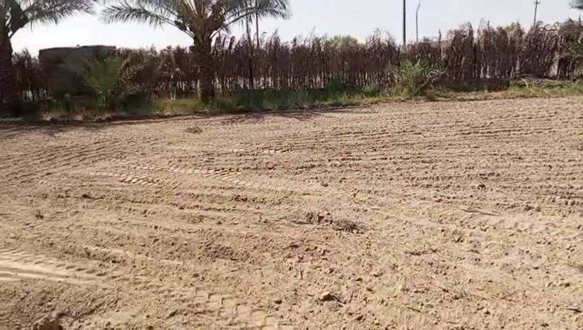 بسم الله الرحمن الرحيم
ارض زراعيه للبيع  
المساحة 750متر 
ركن صاير 
ركن صاير على تبليط مباشر 
 موقع كلش حلو البناء بيت  
سعيدان مقابيل مشروع الماء
او مقابيل بيت سيد عصام ابو مكافحه
بيه 8نخلات شويثي  وحالين مزروعه بانيه
الاتصال على الرقم ***********
مكتب الامير للعقارات 🏫
