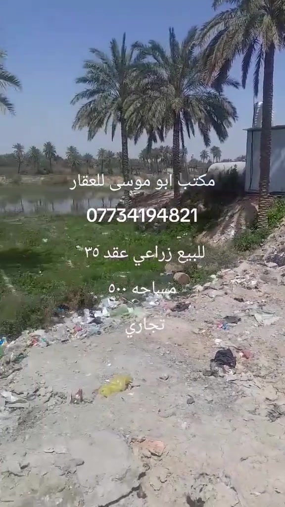موقع تجاري عل شارع العام مساحه ٥٠٠ عقد زراعي كلشي واضح بل تصوير *********** سعر مناسب
