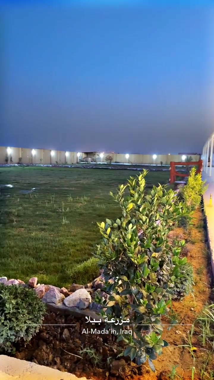 متوفر الخميس مسائي ‭***********‬
