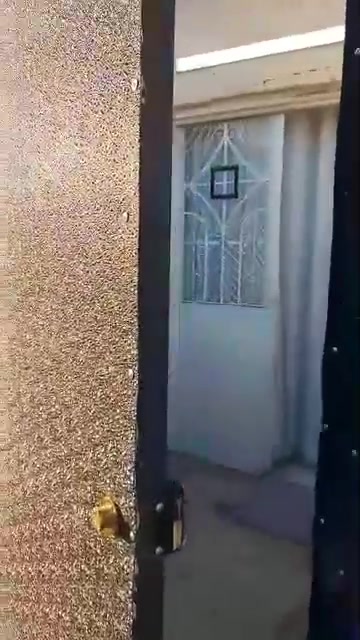 سبع بور • ٣٠م • طابو صرف