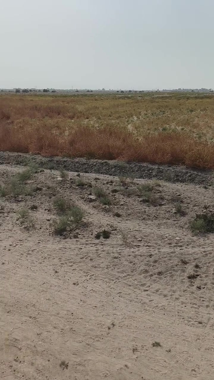 أرض زراعية • نهرين سقي • ٨٠ دونم