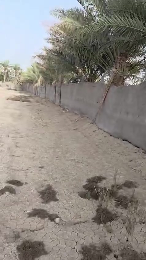 للبيع مزرعه مسيجه طابو زراعي مداور ثاني يوم منطقة البو علوان /محاويل مساحتها ٤ دوانم ألا ٤٠٠م جبهه واسعه منطقه مخدومه مجاوره لدور سكنيه *********** واتساب
