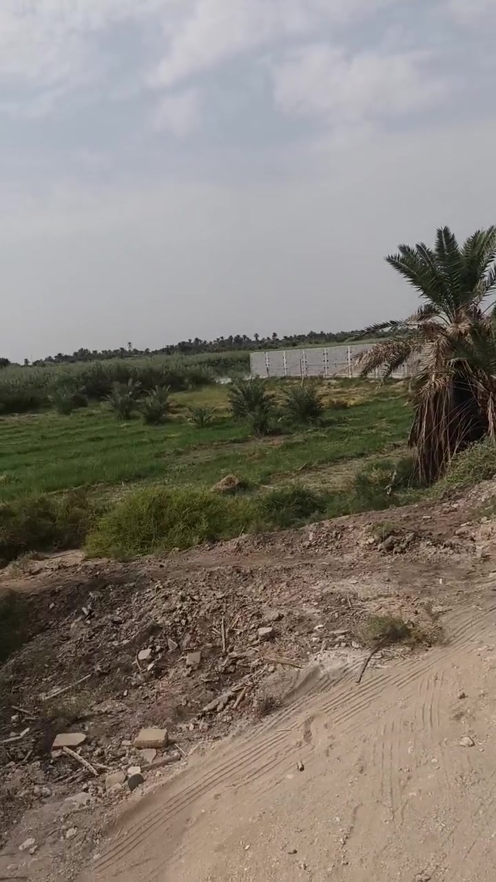 الناصرية • مزرعه شاطي • ٧٠٠م