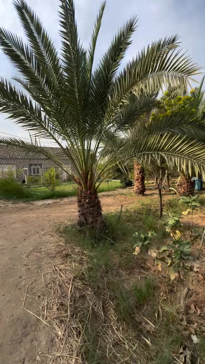 سند ٢٥ • ٢٤٠٠م • بيت ١٦٠م