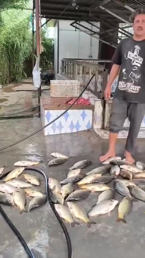 ٣ كيلوات • سمجة وسطانية • خشنه