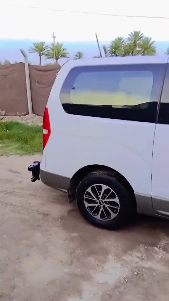ستاركس • ٢٠١٥ • مكفولة