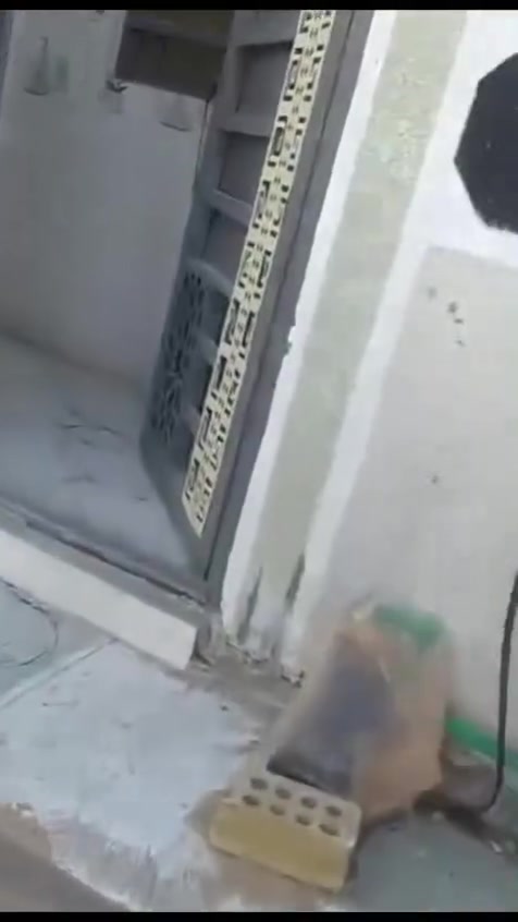 🔥🔥 للبيع المستعجل – فرصة ما تتعوّض بكربلاء 🔥🔥
🏠 بيت حديث للبيع بموقع مميز جداً
📍 كربلاء – بداية الزبيلية
📍 مقابل سيد إسماعيل – مجمع بوابة الجنوب ٢
✨ المساحة: ٥٠ متر
🏡 البيت بناء حديث ٢٠٢٥ ويحتوي على: ▪️ غرفة
▪️ صالة
▪️ مطبخ
▪️ منور
▪️ حمام خارجي
💡 الخدمات متكاملة:
✔️ ماء
✔️ كهرباء
✔️ خط مولدة
✔️ تبليط أمام باب البيت
📄 السند: ٢٥ زراعي + قرار محكمة
💰 بيع مستعجل جداً والسعر على الخاص
📞 للتواصل والاستفسار:
***********
📢 الجادين يتواصلون،
